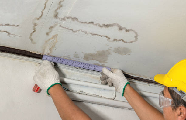 Affordable Water Damage Repair solutions in Bannock, OH